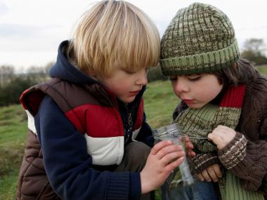 To drenge undersøger insekter i et glas